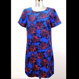 J Crew blue & pink floral shift dress, size 4P